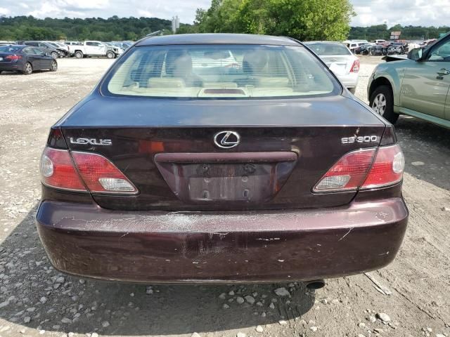 2003 Lexus ES 300