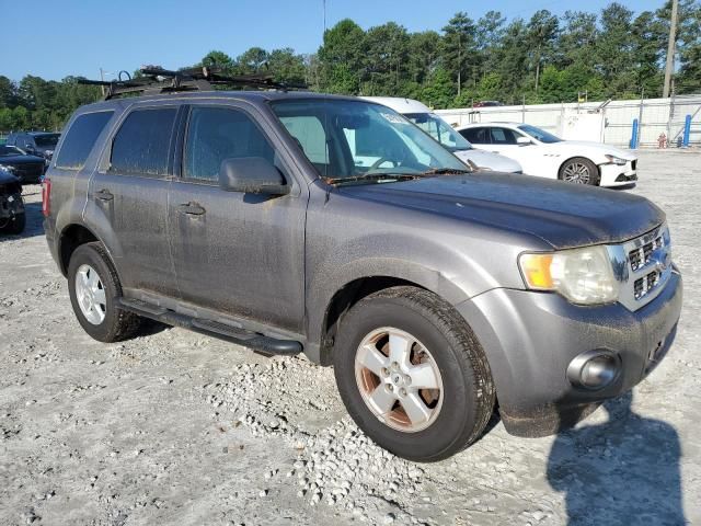 2009 Ford Escape XLT