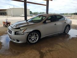 2010 Nissan Maxima S for sale in Tanner, AL