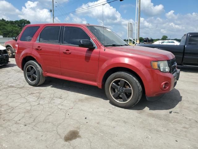 2010 Ford Escape XLT