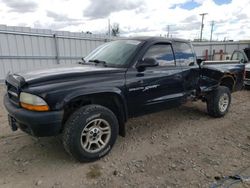 Dodge Dakota salvage cars for sale: 2001 Dodge Dakota