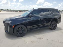 2024 Cadillac Escalade Premium Luxury en venta en Wilmer, TX