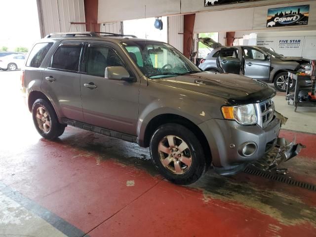 2011 Ford Escape Limited