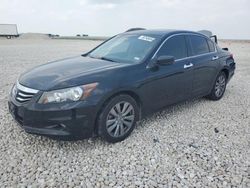 2011 Honda Accord en venta en Temple, TX