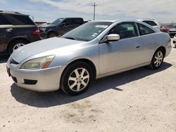 2005 Honda Accord EX for sale in Andrews, TX