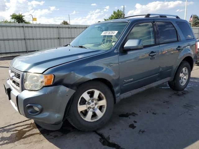 2010 Ford Escape Hybrid