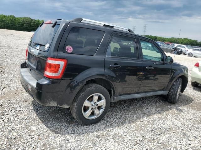 2011 Ford Escape Limited