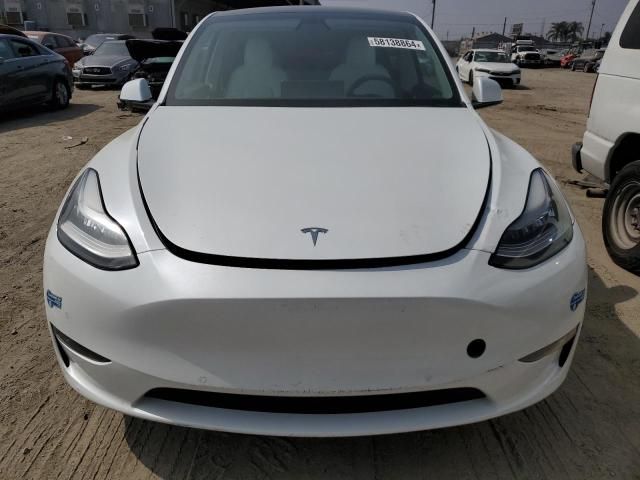 2020 Tesla Model Y