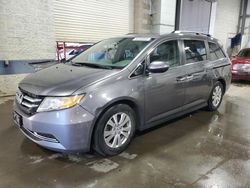 Honda salvage cars for sale: 2015 Honda Odyssey EX