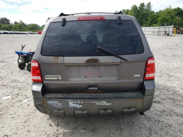 2010 Ford Escape XLT