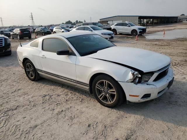 2010 Ford Mustang