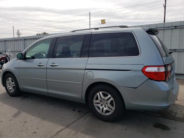 2005 Honda Odyssey EXL