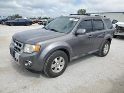 Ford Escape salvage cars for sale: 2010 Ford Escape Limited