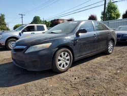 2010 Toyota Camry Hybrid for sale in New Britain, CT