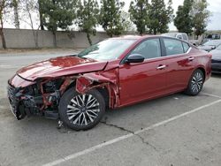 Nissan Altima sv Vehiculos salvage en venta: 2024 Nissan Altima SV