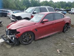 Alfa Romeo Giulia salvage cars for sale: 2017 Alfa Romeo Giulia Quadrifoglio