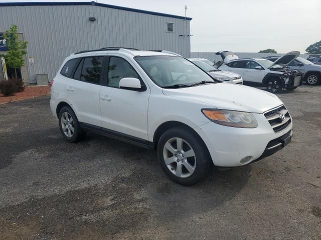 2007 Hyundai Santa FE SE