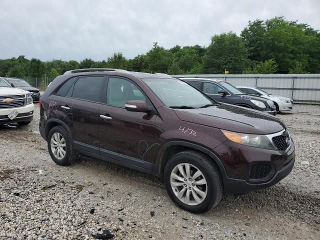 2011 KIA Sorento Base