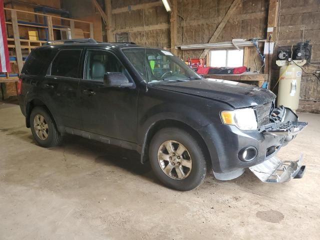 2011 Ford Escape Limited