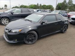 Salvage cars for sale from Copart Denver, CO: 2011 Scion TC