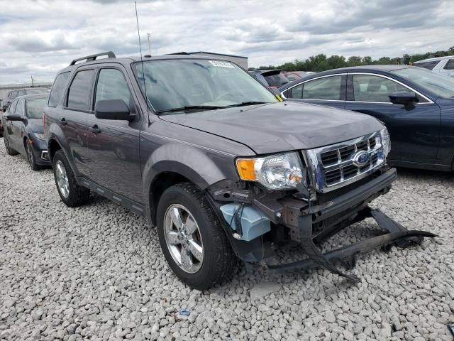 2011 Ford Escape XLT