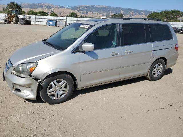 2005 Honda Odyssey EXL