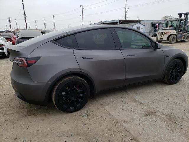 2020 Tesla Model Y