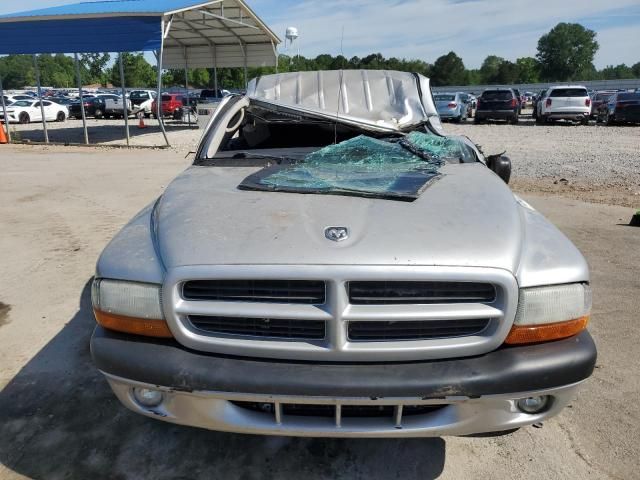 2003 Dodge Dakota Quad Sport