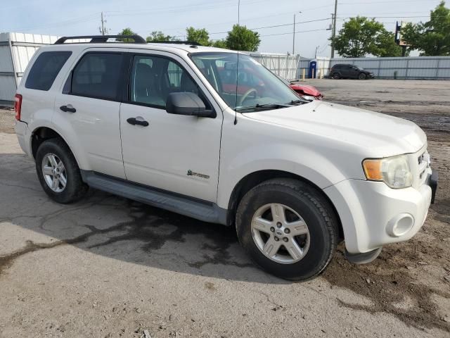 2009 Ford Escape Hybrid