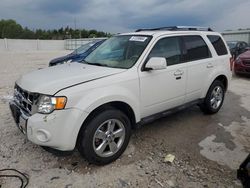 2012 Ford Escape Limited en venta en Franklin, WI