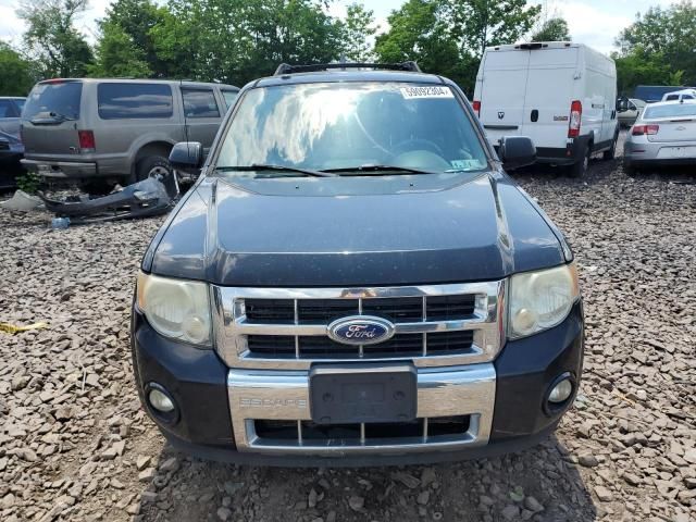 2011 Ford Escape Limited