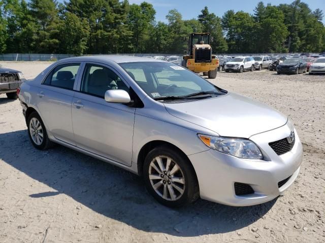 2010 Toyota Corolla Base