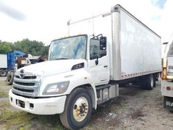 Hino 258/268 salvage cars for sale: 2016 Hino 258 268