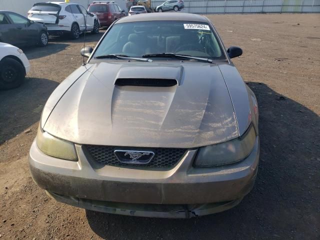 2002 Ford Mustang