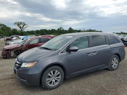 Honda Odyssey salvage cars for sale: 2016 Honda Odyssey SE