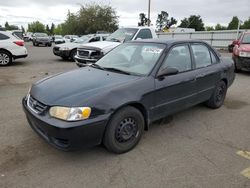 Toyota Vehiculos salvage en venta: 2001 Toyota Corolla CE