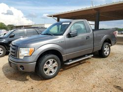 2009 Ford F150 for sale in Tanner, AL