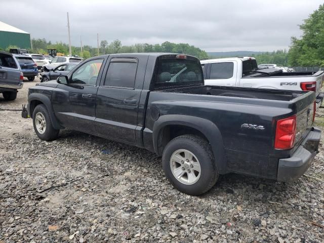 2008 Dodge Dakota SXT