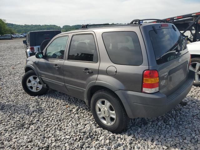 2002 Ford Escape XLT