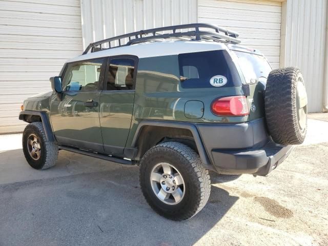 2010 Toyota FJ Cruiser