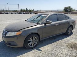 KIA Optima salvage cars for sale: 2009 KIA Optima LX