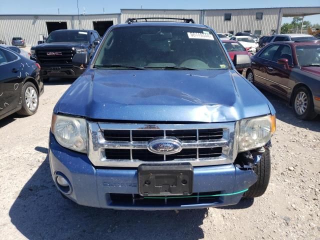 2009 Ford Escape XLT