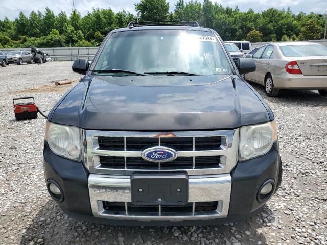 2011 Ford Escape Limited