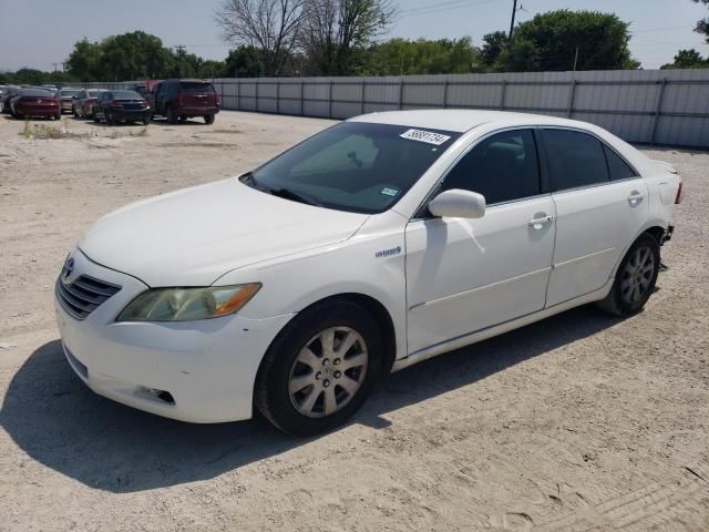 2009 Toyota Camry Hybrid