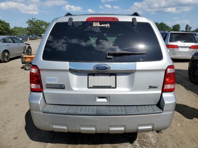 2010 Ford Escape Limited