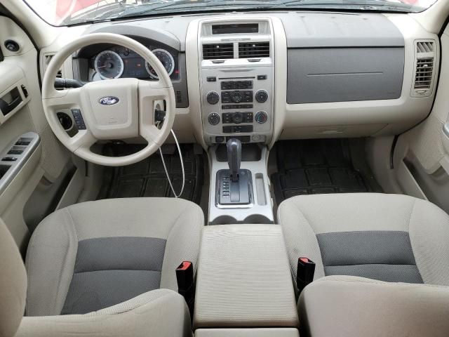 2008 Ford Escape XLT