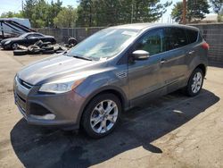 Ford Escape Vehiculos salvage en venta: 2013 Ford Escape SEL