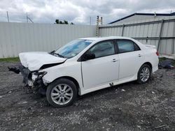 Toyota Vehiculos salvage en venta: 2010 Toyota Corolla Base