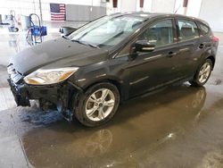 2013 Ford Focus SE for sale in Avon, MN