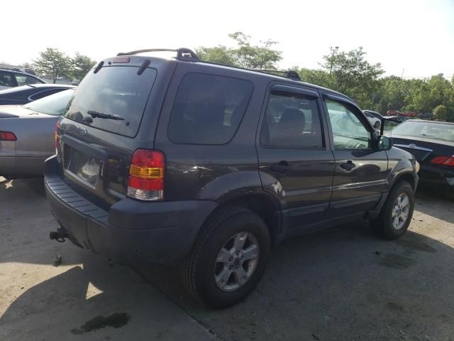 2006 Ford Escape XLT